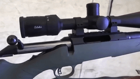 AmericanFirearms giphygifmaker GIF