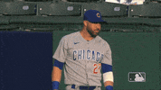 Regular Season Sport GIF by MLB