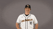 Cal State La Baseball GIF by Cal State LA Golden Eagles