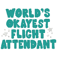 Ashlynnmg airplane flight aviation airlines Sticker