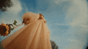 All In Love GIF by Maisy Kay