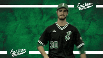 Emueagles Emubaseball GIF by EMU Athletics