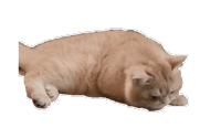 Simba Sticker
