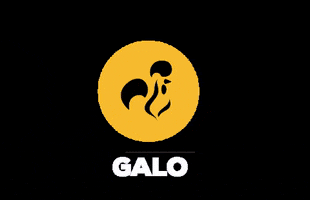 Galosolutions brand digital branding website GIF
