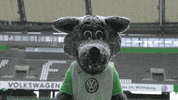 happy party GIF by VfL Wolfsburg