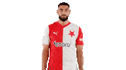 Football Waving Sticker by SK Slavia Praha