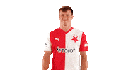 Football Waving Sticker by SK Slavia Praha