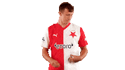 Football Soccer Sticker by SK Slavia Praha