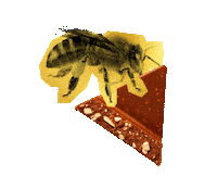 Flying Honey Bee Sticker by Toblerone