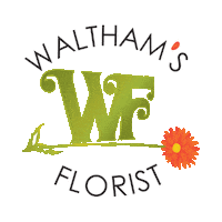 Flowers Florist Sticker by ManoWalter