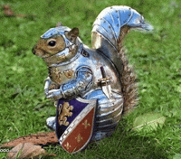 Squirrel Dank Meme GIF by Database數據