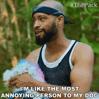 The Pack Dog GIF by Amazon Prime Video