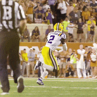 Lsu Football Lsufb19 GIF by LSU Tigers