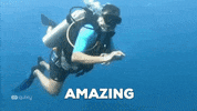 Scuba Good Job GIF by Quixy