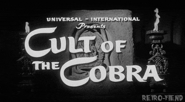 cult film horror GIF by RETRO-FIEND