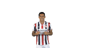 Tricolores Kingside Sticker by Willem II