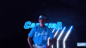 North Carolina Baseball GIF by UNC Tar Heels