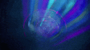 Live Band Usa GIF by Polyvinyl Records