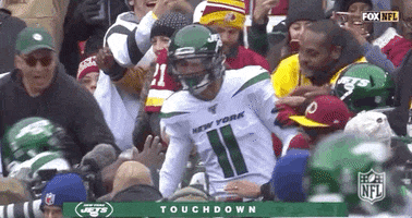 2019 Nfl Football GIF by NFL