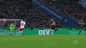 jhon cordoba soccer GIF by 1. FC Köln