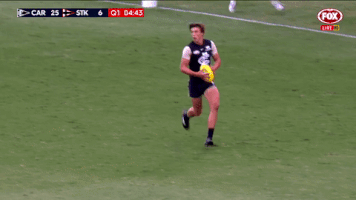 jlt GIF by AFL