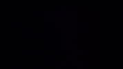 اليمن GIF