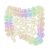 art_scalpel food good anatomy gut Sticker
