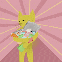 Miqan tidying up dirty dishes miqan mustard the cat GIF