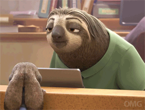 sloth meet GIF