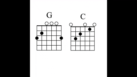 chordgenome giphyupload GIF