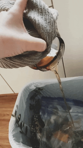 1502CandleCo giphyupload GIF