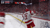 Stanley Cup Playoffs Celebration GIF by NHL