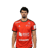 Letsgovamos Sticker by Federação de Andebol de Portugal