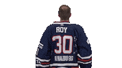 Ice Hockey Sticker by Fehervar AV19