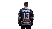 Ice Hockey Sticker by Fehervar AV19