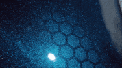 Ride GIF by Harley-Davidson