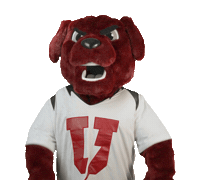 Mascot Nodding Sticker by Union College