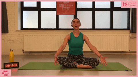 vanuituwkotbe giphygifmaker GIF
