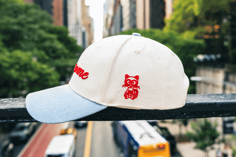 Awesome Head GIF by VeeFriends