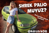 Araba Palio GIF