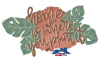 thejoekoskoteam home aesthetic plant boho Sticker