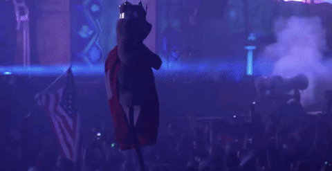 tomorrowland GIF by Robin Schulz