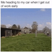 Mood Running GIF by JustViral.Net