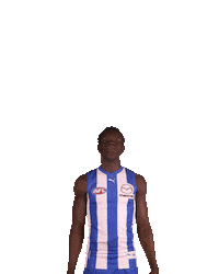 Afl Biggie Sticker by North Melbourne FC