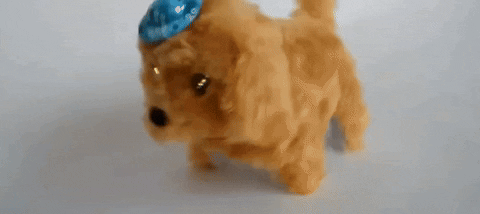 Dog Toy GIF by Sonbaterias