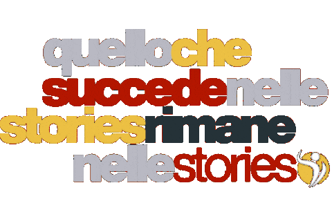 Instagram Stories Sticker by Champion Training Sanda Martial Art