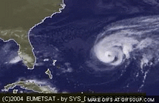 hurricane GIF