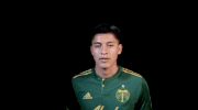 portland timbers mls GIF by Timbers