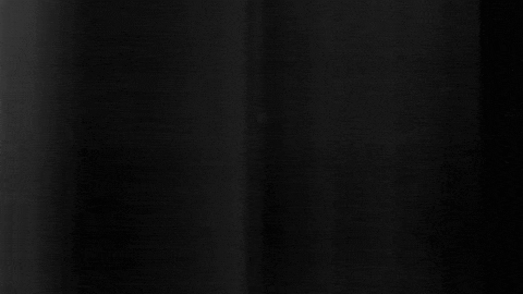 Football Sport GIF by SK Sturm Graz