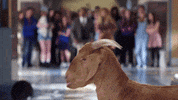 season 1 finale GIF by Sony Pictures Television